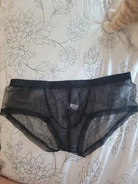 Men's sheer brief